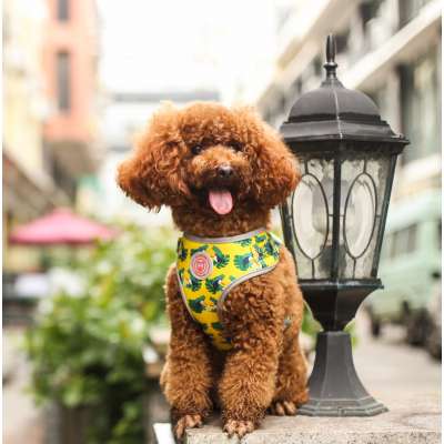 Best selling products custom adjustable soft polyester pet dog harness wholesale